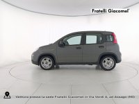 Auto Fiat Panda 1.0 firefly hybrid city life s&s 70cv 5p.ti aziendale in vendita presso concessionaria Fratelli Giacomel a 13.900 € - foto numero 3